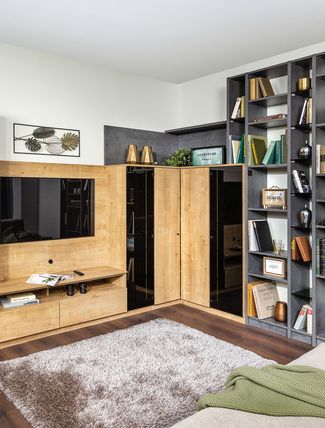 Wohnwand mit Bibliothek
