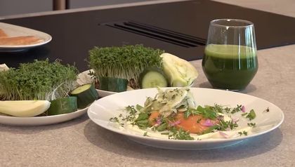 Das fertig angerichtete Gericht: Ein Saiblingsfilet auf Joghurtcreme, garniert mit Fenchelsalat und frischen Kräutern. Daneben steht ein Glas mit der grünen Salat-Gazpacho, im Hintergrund sind weitere frische Zutaten wie Kresse und Gurke zu sehen.