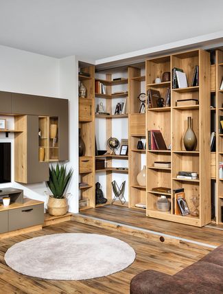 Wohnwand mit Bibliothek